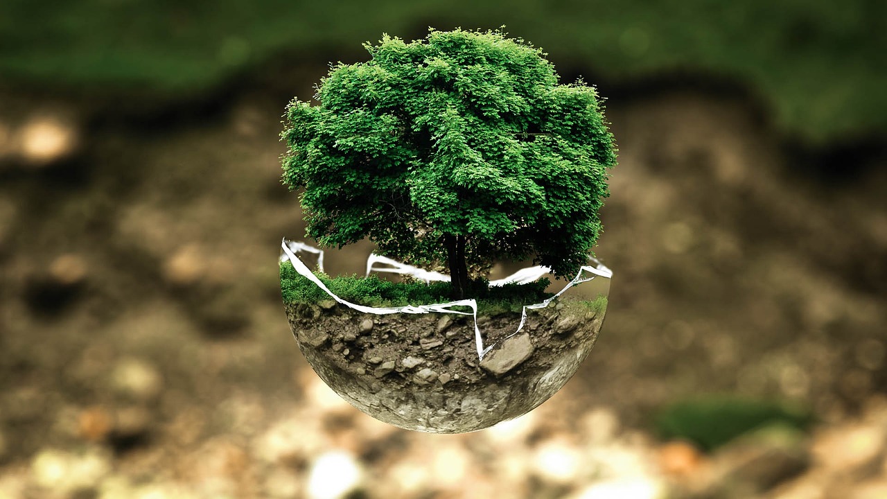 The Debate Over EPC Useful or Useless
