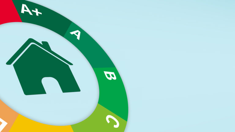 Letting Agency Predicts Decrease in Tenants' Energy Costs