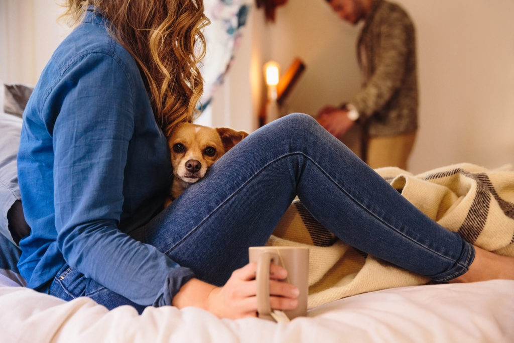 Pets in Lets: Reducing Landlord Risk