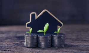 Profitable Opportunity: House Prices Decline for Investors