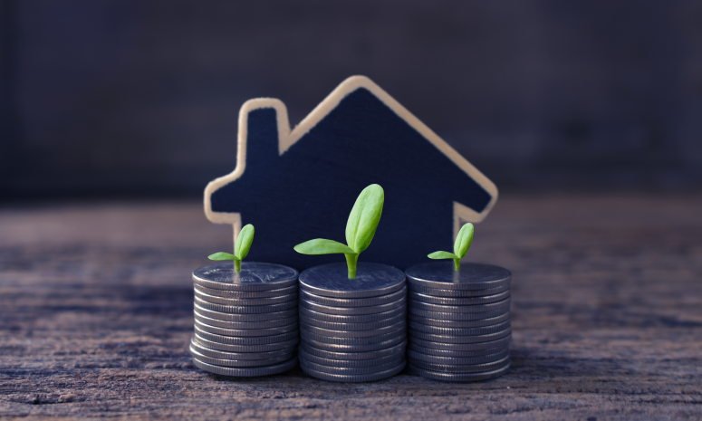 Profitable Opportunity: House Prices Decline for Investors