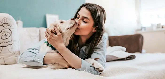 Pet Owners Cause Less Damage Than Non-Owners: New Figures