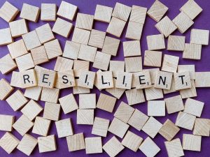 Market Resilience: Dip in Sale Prices – Is It Time to Buy?