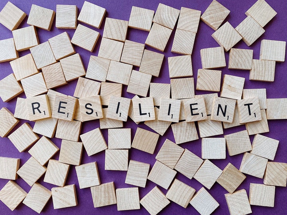 Market Resilience: Dip in Sale Prices - Is It Time to Buy?
