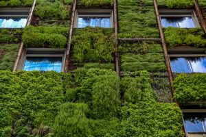 Good News for Landlords: Government’s Eco Policy Reversal