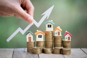 Government Confirms: No New Law for Landlords on Mould