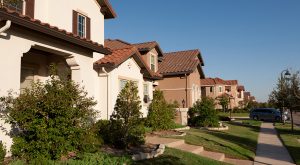 Sudden House Price Surge: Not an Economic Recovery Indicator